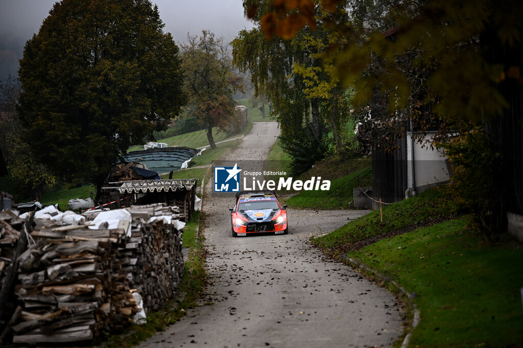 WRC Central European Rally - RALLY - MOTORS
