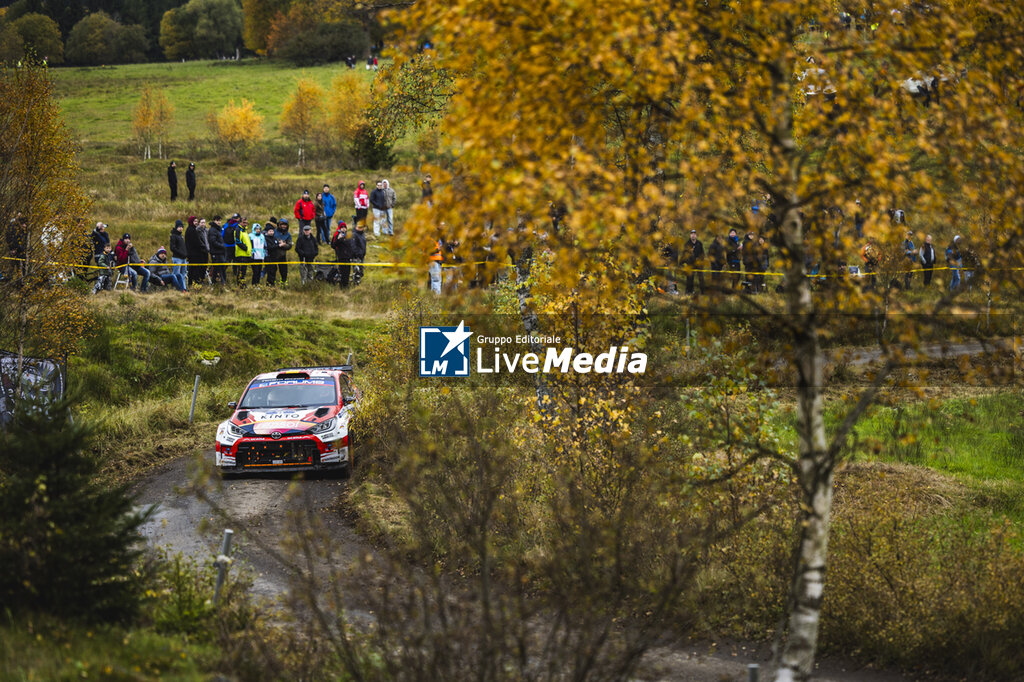 WRC - CENTRAL EUROPEAN RALLY  - RALLY - MOTORS