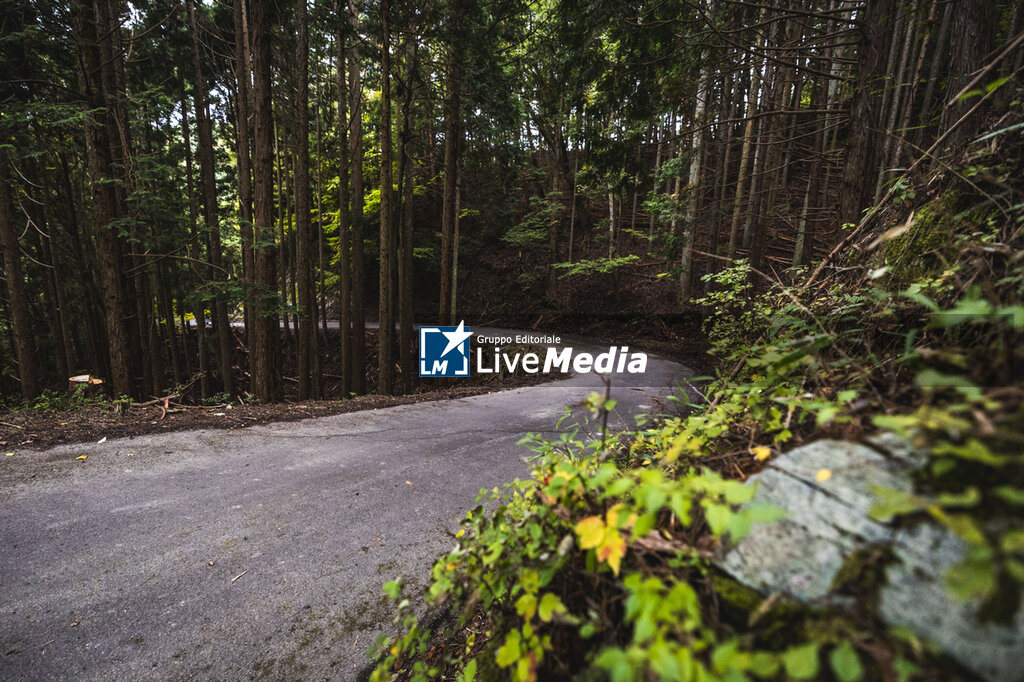 AUTO - WRC - RALLY JAPAN 2025 - RALLY - MOTORS