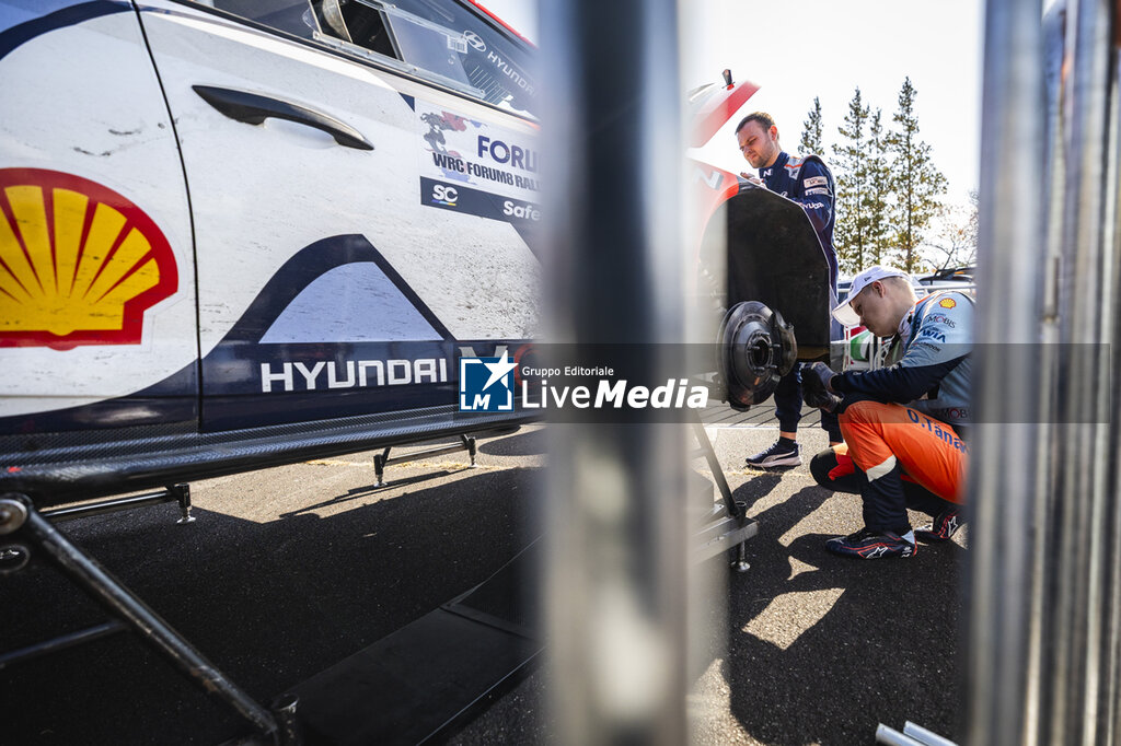 AUTO - WRC - RALLY JAPAN 2025 - RALLY - MOTORS