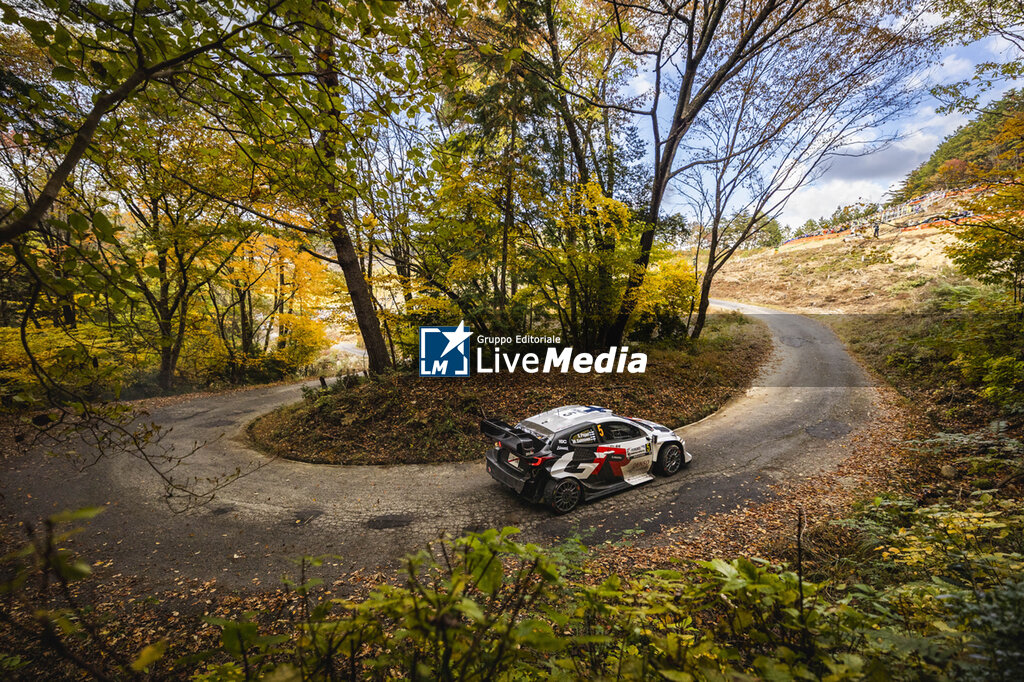WRC RALLY JAPAN 2025 - RALLY - MOTORS