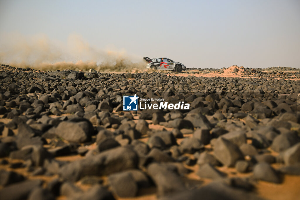 WRC Rally Saudi Arabia 2025 - RALLY - MOTORS