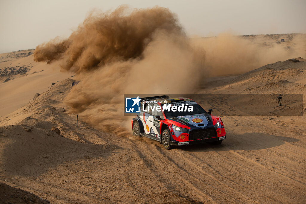 WRC Rally Saudi Arabia 2025 - RALLY - MOTORS