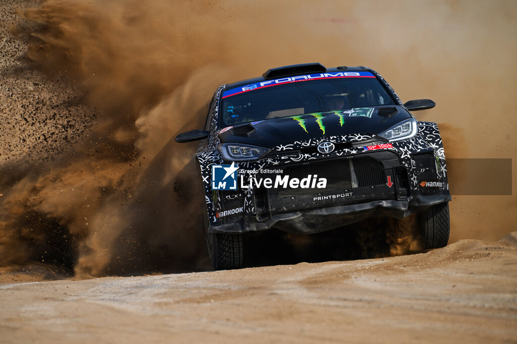 WRC - Rally Saudi Arabia 2025 - RALLY - MOTORS