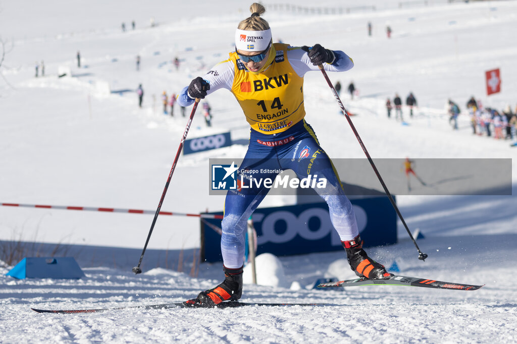 FIS Cross Country World Cup - NORDIC SKIING - WINTER SPORTS