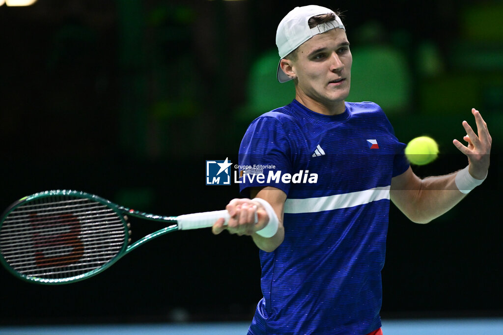 Davis Cup - Final Eight - INTERNATIONALS - TENNIS