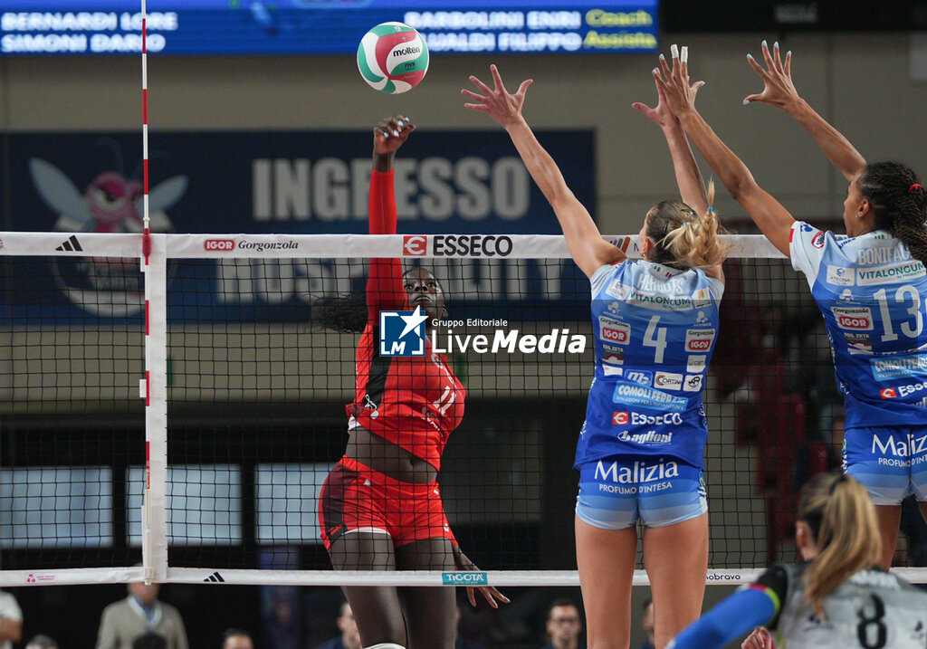 Igor Gorgonzola Novara vs Eurotek Laica Uyba - SERIE A1 WOMEN - VOLLEYBALL