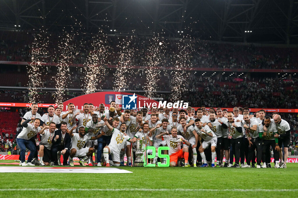 Magyar Kupa final - Ferencvaros vs Zalaegerszeg - OTHER - SOCCER