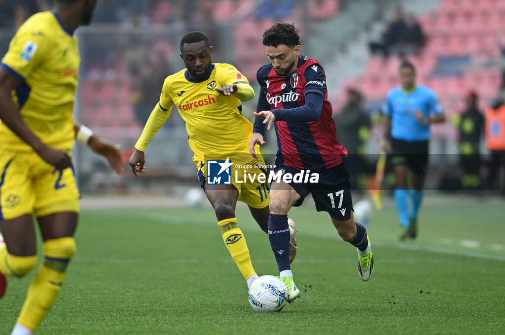 Bologna FC vs Hellas Verona FC - ITALIAN SERIE A - SOCCER