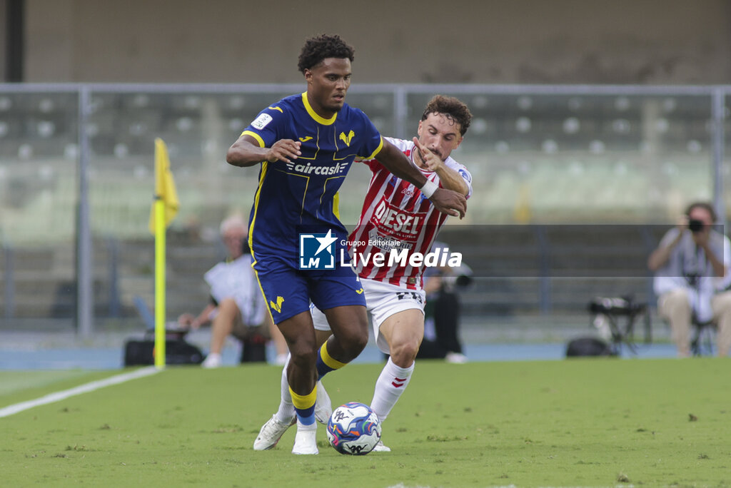 Hellas Verona FC vs L.R. Vicenza - ITALIAN SERIE B - SOCCER