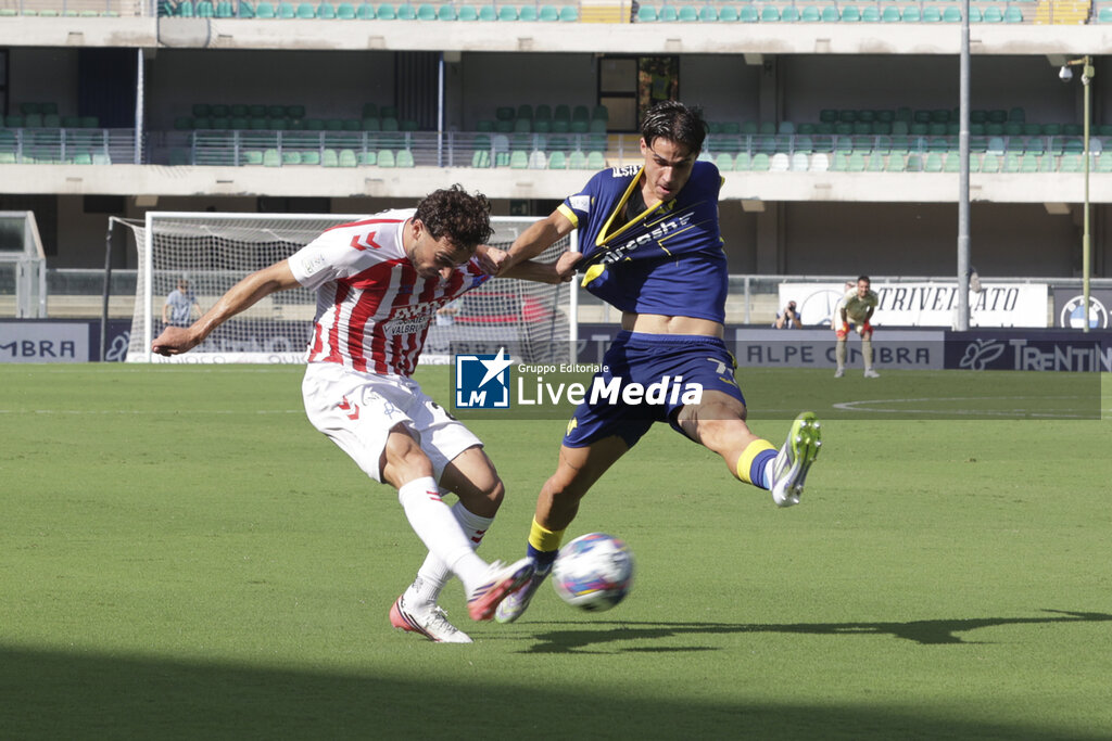 Hellas Verona FC vs L.R. Vicenza - ITALIAN SERIE B - SOCCER