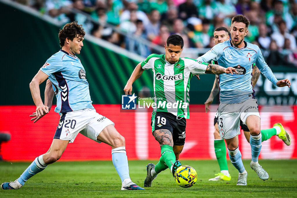 REAL BETIS vs CELTA VIGO - SPANISH LA LIGA - SOCCER