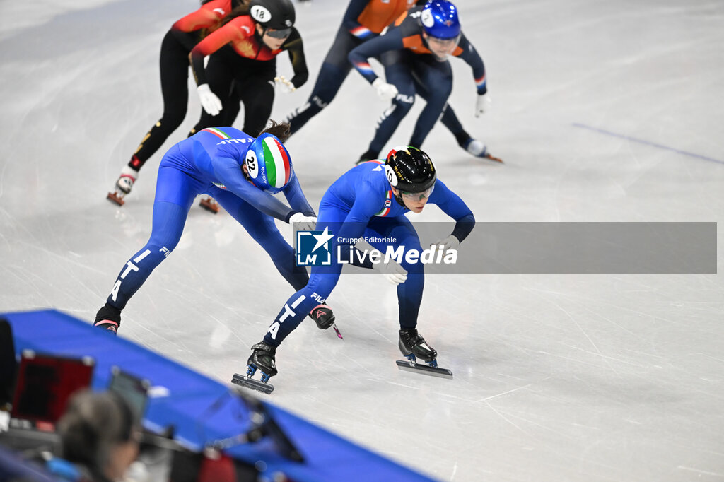 Short Track - OLYMPIC WINTER GAMES MILANO-CORTINA 2026 - OLYMPIC GAMES