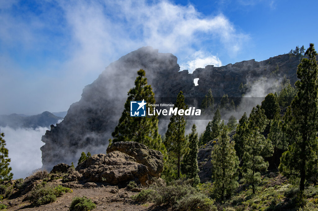 WRC Rally Islas Canarias - RALLY - MOTORS