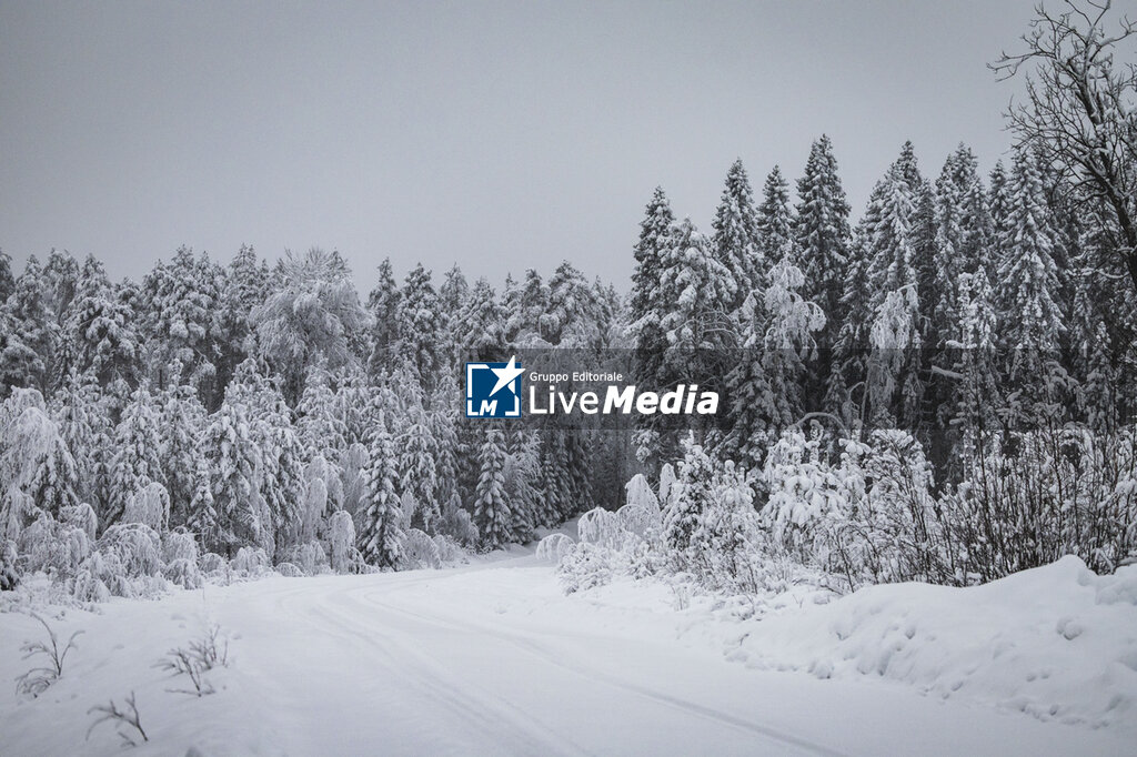 AUTO - WRC - RALLY SWEDEN 2026 - RALLY - MOTORS