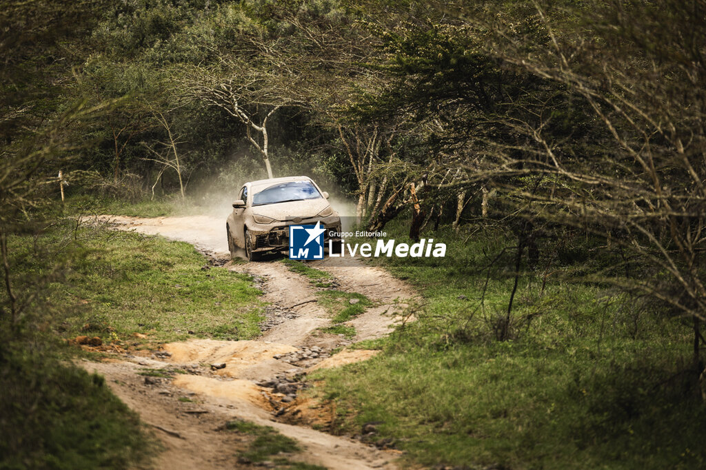 AUTO - WRC - SAFARI RALLY KENYA 2026 - RALLY - MOTORS