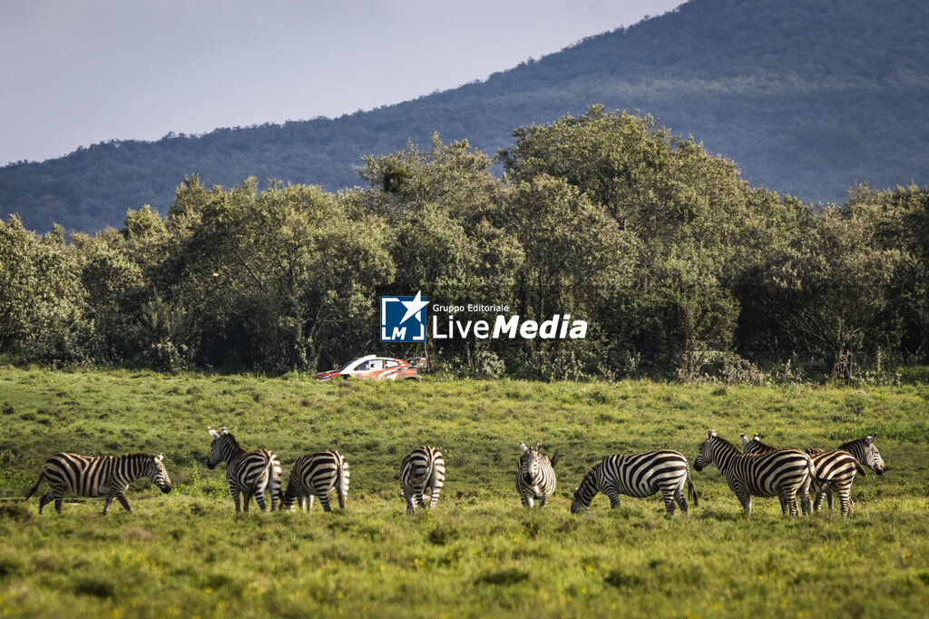 AUTO - WRC - SAFARI RALLY KENYA 2026 - RALLY - MOTORS