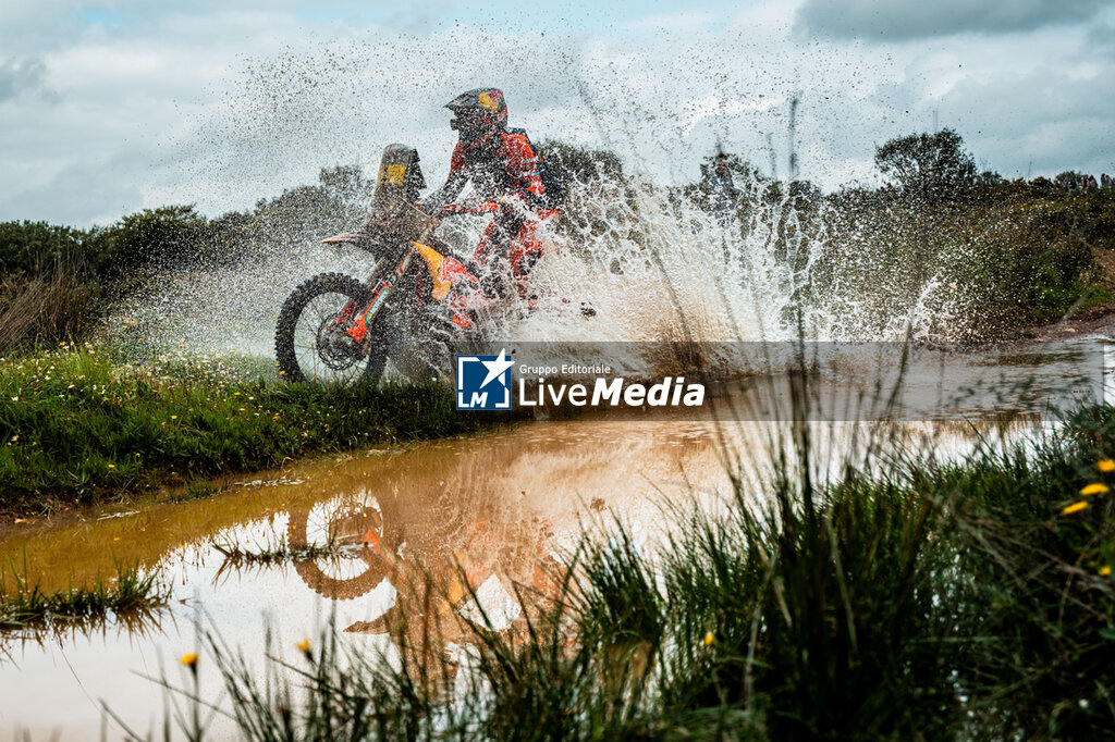 W2RC - BP ULTIMATE RALLY-RAID PORTUGAL 2026 - RALLY - MOTORS