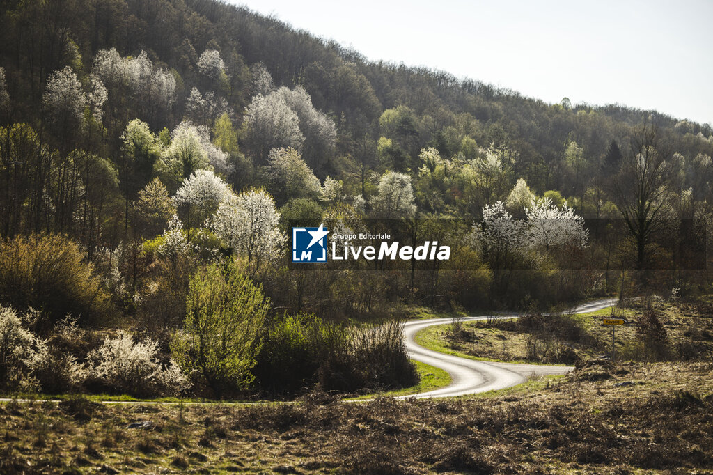 AUTO - WRC - CROATIA RALLY 2026 - RALLY - MOTORS