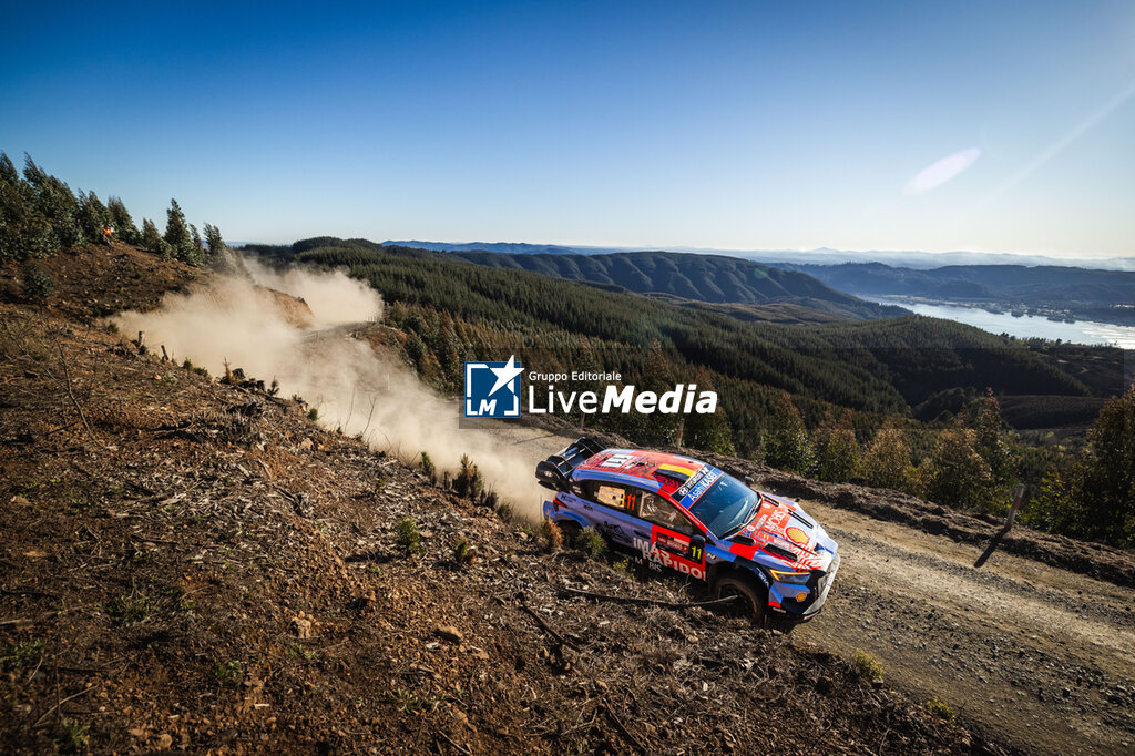 WRC RALLY CHILE BIO BIO 2026 - RALLY - MOTORS