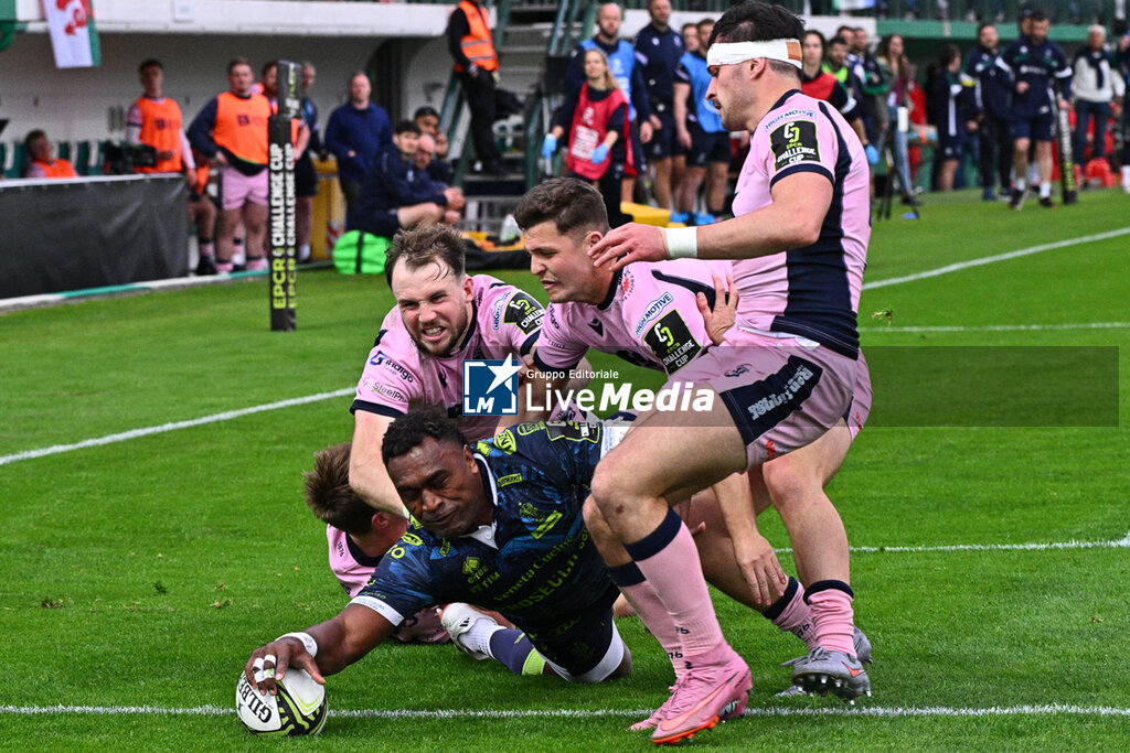 Benetton Treviso vs Cardiff Rugby - CHALLENGE CUP - RUGBY