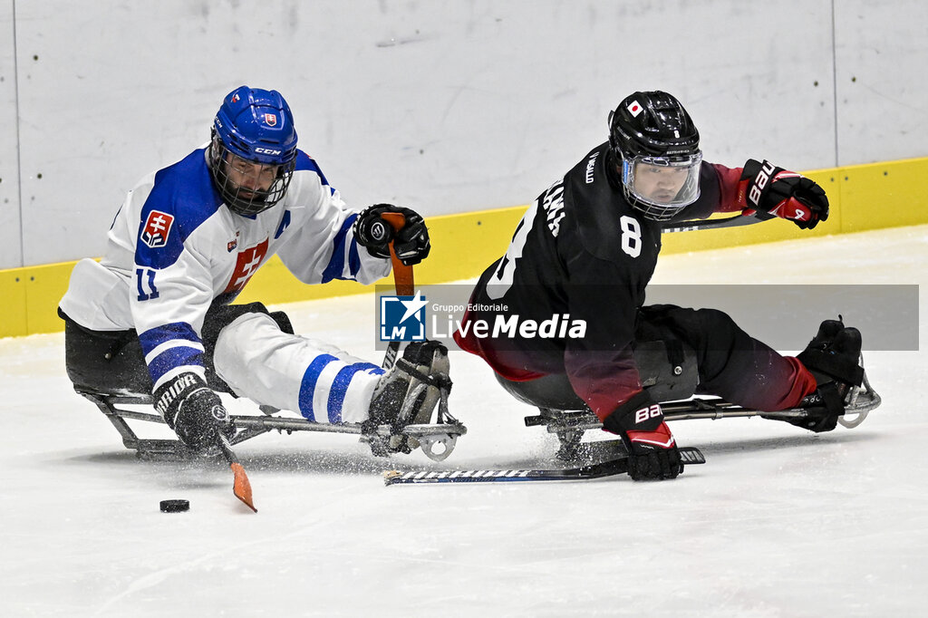Para Ice Hockey - 12° International Tournament - ICE HOCKEY - WINTER SPORTS