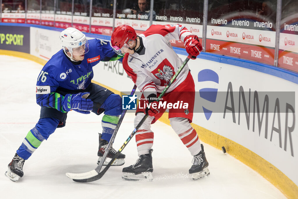 Polska vs Slowenia - ICE HOCKEY - WINTER SPORTS