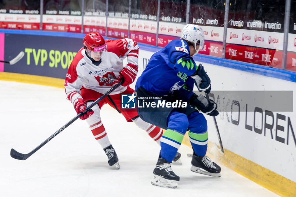 FRIENDLY MATCH - POLAND vs SLOVENIA - ICE HOCKEY - WINTER SPORTS