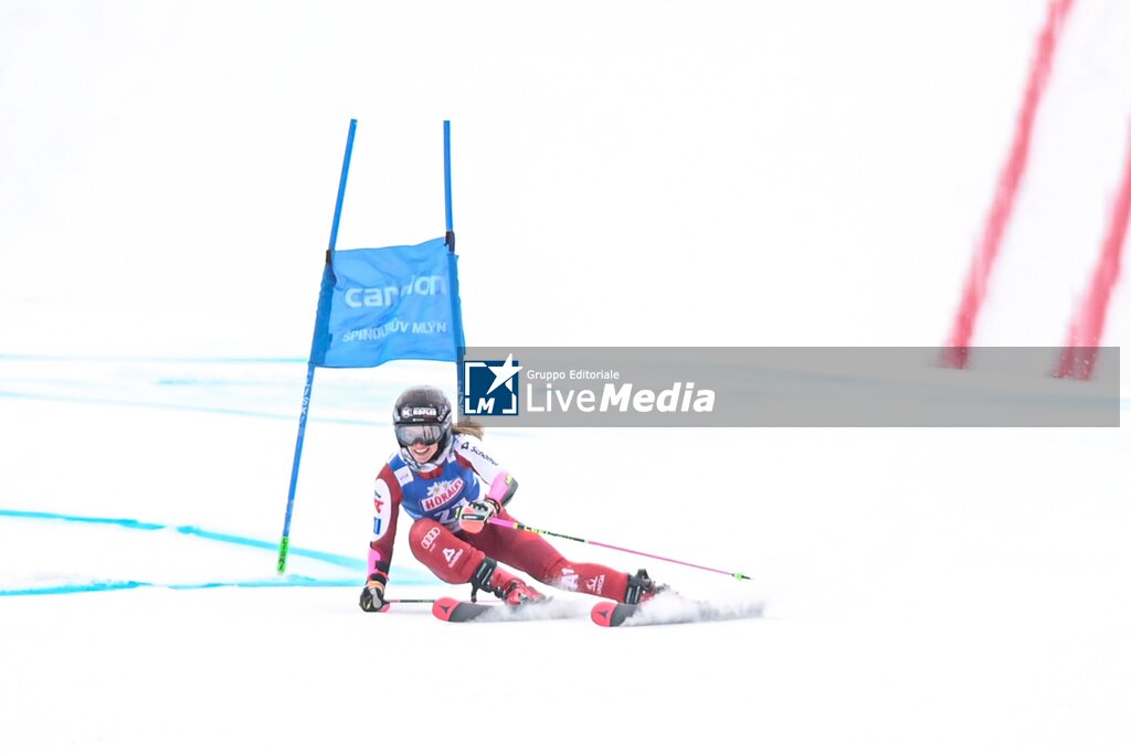 FIS Ski World Cup - Szpindlerowy Mlyn Slalom Gigant Women  - ALPINE SKIING - WINTER SPORTS