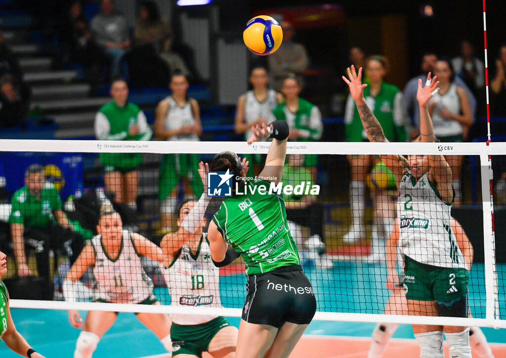 Megabox group Vallefoglia vs Panathinaikos Athens - CHALLENGE CUP WOMEN - VOLLEYBALL