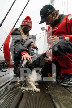 2021-01-27 - Boris Herrmann (ger),4th, sailing on the Imoca SeaExplorer - Yacht Club de Monaco with his wife Birte, his kid and his dog during the arrival of the 2020-2021 VendÃ©e Globe after 80 days, 14 hours, 59 minutes and 45 seconde, 9th edition of the solo non-stop round the world yacht race, on January 27th 2021 in Les Sables-d'Olonne, France - Photo Martin KeruzorÃ© / DPPI - ARRIVAL OF THE 2020-2021 VENDéE GLOBE, 9TH EDITION OF THE SOLO NON-STOP ROUND THE WORLD YACHT RACE - SAILING - OTHER SPORTS
