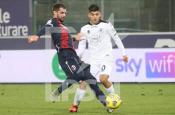2020-11-25 - 251120 - sport calcio - Coppa Italia - Bologna-Spezia - Andrea Poli (Bologna) (a sinistra) - foto Michele Nucci - BOLOGNA VS SPEZIA - ITALIAN CUP - SOCCER