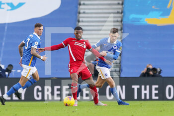 2020-11-28 - Liverpool midfielder Georginio Wijnaldum (5) battles with Brighton and Hove Albion midfielder Pascal Gross (13) during the English championship, Premier League football match between Brighton and Hove Albion and Liverpool on November 28, 2020 at the American Express Community Stadium in Brighton and Hove, England - Photo Phil Duncan / ProSportsImages / DPPI - BRIGHTON AND HOVE ALBION VS LIVERPOOL - ENGLISH PREMIER LEAGUE - SOCCER