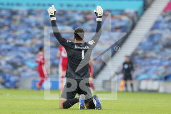 2020-11-28 - Liverpool goalkeeper Alisson Becker (1) celebrates Liverpool forward Diogo Jota (20) goal during the English championship, Premier League football match between Brighton and Hove Albion and Liverpool on November 28, 2020 at the American Express Community Stadium in Brighton and Hove, England - Photo Phil Duncan / ProSportsImages / DPPI - BRIGHTON AND HOVE ALBION VS LIVERPOOL - ENGLISH PREMIER LEAGUE - SOCCER