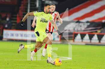 2021-01-12 - Newcastle United forward Callum Wilson during the English championship Premier League football match between Sheffield United and Newcastle United on January 12, 2021 at Bramall Lane in Sheffield, England - Photo kevin Warburton / A Moment in Sport / ProSportsImages / DPPI - SHEFFIELD UNITED VS NEWCASTLE UNITED - ENGLISH PREMIER LEAGUE - SOCCER