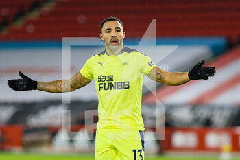 2021-01-12 - Newcastle United forward Callum Wilson during the English championship Premier League football match between Sheffield United and Newcastle United on January 12, 2021 at Bramall Lane in Sheffield, England - Photo kevin Warburton / A Moment in Sport / ProSportsImages / DPPI - SHEFFIELD UNITED VS NEWCASTLE UNITED - ENGLISH PREMIER LEAGUE - SOCCER