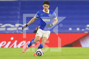 2021-02-22 - Brighton and Hove Albion midfielder Steven Alzate during the English championship Premier League football match between Brighton and Hove Albion and Crystal Palace on February 22, 2021 at the American Express Community Stadium in Brighton and Hove, England - Photo Phil Duncan / ProSportsImages / DPPI - BRIGHTON AND HOVE ALBION AND CRYSTAL PALACE - ENGLISH PREMIER LEAGUE - SOCCER