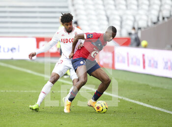 2020-12-06 - Tiago Djalo of Lille, Willem Geubbels of Monaco (left) during the French championship Ligue 1 football match between Lille OSC and AS Monaco on December 6, 2020 at Stade Pierre Mauroy in Villeneuve-d'Ascq near Lille, France - Photo Jean Catuffe / DPPI - LILLE OSC VS AS MONACO - FRENCH LIGUE 1 - SOCCER