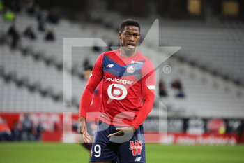 2020-12-13 - David 9 losc during the French Championship Ligue 1 football match between Lille OSC and Girondins de Bordeaux on December 13, 2020 at Pierre Mauroy stadium in Villeneuve-d'Ascq near Lille, France - Photo Laurent Sanson / LS Medianord / DPPI - LILLE OSC VS GIRONDINS DE BORDEAUX - FRENCH LIGUE 1 - SOCCER