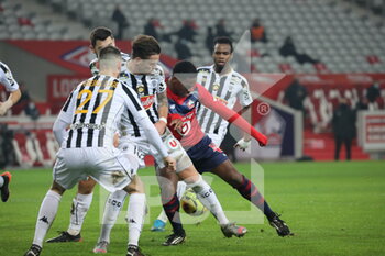 2021-01-06 - Jonathan DAVID 9 LOSC during the French championship Ligue 1 football match between Lille OSC and Angers SCO on January 6, 2021 at Pierre Mauroy stadium in Villeneuve-d'Ascq near Lille, France - Photo Laurent Sanson / LS Medianord / DPPI - LILLE OSC VS ANGERS SCO - FRENCH LIGUE 1 - SOCCER