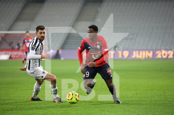 2021-01-06 - David 9 LOSC during the French championship Ligue 1 football match between Lille OSC and Angers SCO on January 6, 2021 at Pierre Mauroy stadium in Villeneuve-d'Ascq near Lille, France - Photo Laurent Sanson / LS Medianord / DPPI - LILLE OSC VS ANGERS SCO - FRENCH LIGUE 1 - SOCCER