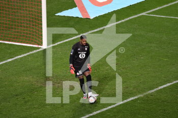 2021-01-17 - Goalkeeper LOSC Mike Maignan 16 during the French championship Ligue 1 football match between Lille OSC and Stade de Reims on January 17, 2021 at Pierre Mauroy stadium in Villeneuve-d'Ascq near Lille, France - Photo Laurent Sanson / LS Medianord / DPPI - LILLE OSC AND STADE DE REIMS - FRENCH LIGUE 1 - SOCCER