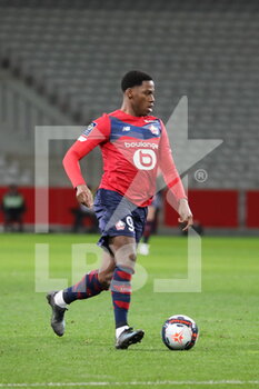 2021-01-17 - Jonathan DAVID 9 LOSC during the French championship Ligue 1 football match between Lille OSC and Stade de Reims on January 17, 2021 at Pierre Mauroy stadium in Villeneuve-d'Ascq near Lille, France - Photo Laurent Sanson / LS Medianord / DPPI - LILLE OSC AND STADE DE REIMS - FRENCH LIGUE 1 - SOCCER