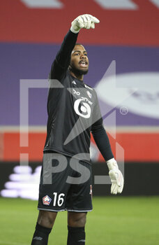 2021-05-01 - Goalkeeper of Lille Mike Maignan during the French championship Ligue 1 football match between Lille OSC (LOSC) and OGC Nice (OGCN) on May 1, 2021 at Stade Pierre Mauroy in Villeneuve-d'Ascq near Lille, France - Photo Jean Catuffe / DPPI - LILLE OSC (LOSC) VS OGC NICE (OGCN) - FRENCH LIGUE 1 - SOCCER