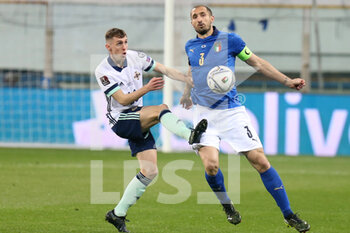 2021-03-25 - Gavin Whyte of Northern Ireland and Giorgio Chiellini of Italy during the FIFA World Cup 2022, Qualifiers Group C football match between Italy and Northern Ireland on March 25, 2021 at Ennio Tardini stadium in Parma, Italy - Photo Laurent Lairys / DPPI - FIFA WORLD CUP 2022, QUALIFIERS GROUP C - ITALY VS NORTHERN IRELAND - FIFA WORLD CUP - SOCCER