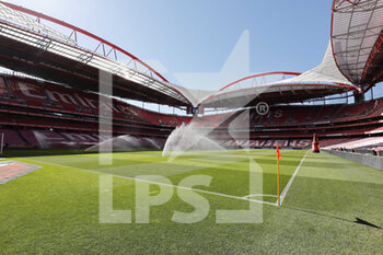 2021-05-06 - General view before the Portuguese championship Liga NOS football match between SL Benfica and FC Porto on May 6, 2021 at Estadio da Luz in Benfica, Portugal - Photo Joao Rico / ProSportsImages / DPPI - SL BENFICA VS FC PORTO - PORTUGUESE PRIMEIRA LIGA - SOCCER