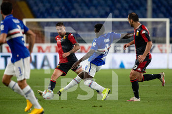Sampdoria vs Genoa - ITALIAN SERIE A - SOCCER