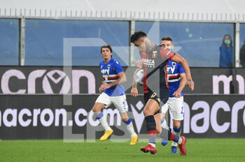 2020-11-01 - Gianluca Scamacca (Genoa), LORENZO TONELLI Sampdoria) - SAMPDORIA VS GENOA - ITALIAN SERIE A - SOCCER