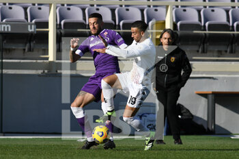 2020-11-22 - Cristiano Biraghi di ACF Fiorentina in azione contro Roberto Insigne del Benevento - FIORENTINA VS BENEVENTO - ITALIAN SERIE A - SOCCER