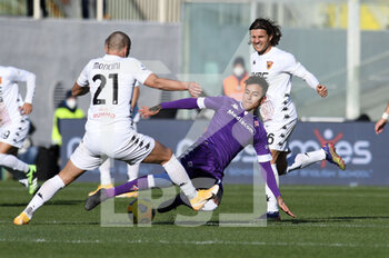 2020-11-22 - Erick Pulgar di ACF Fiorentina in azione contro Gabriele Moncini del Benevento - FIORENTINA VS BENEVENTO - ITALIAN SERIE A - SOCCER